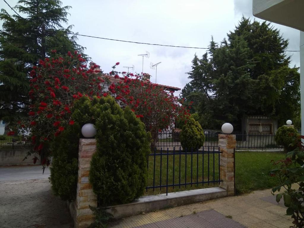 Zahrada ubytování Posidi Holidays Apartments