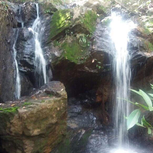  Recanto dos Manacás