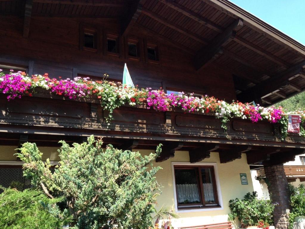 Zahrada ubytování Haus Tenk