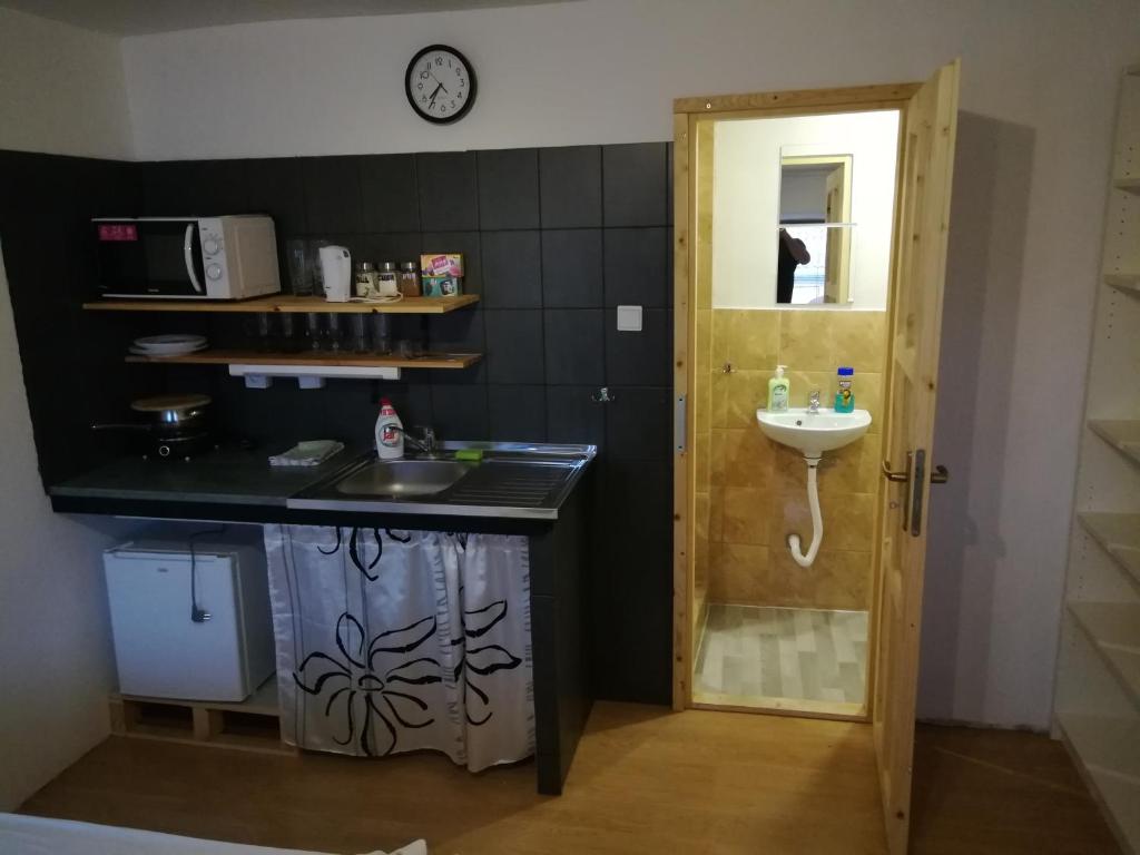 Kuchyň nebo kuchyňský kout v ubytování U Dragouna