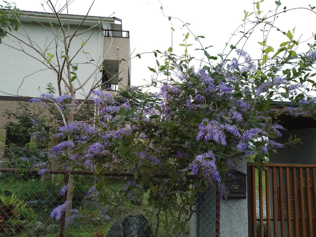 a bunch of purple flowers hanging over a fence at Celine&#39;s B&amp;B in Fenglin
