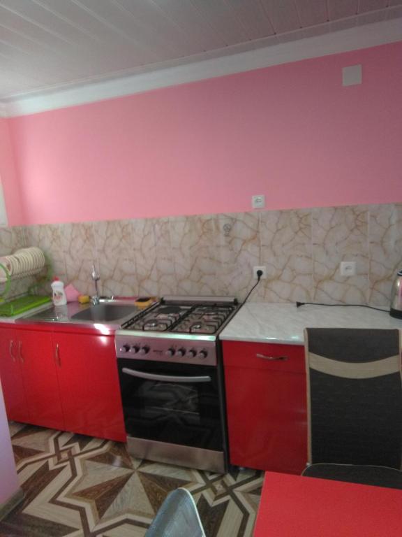 Kuchyň nebo kuchyňský kout v ubytování Guest House Fazisi
