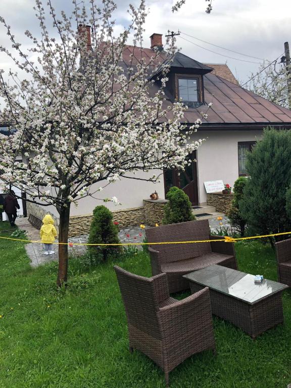 a tree with white flowers on it in a yard at Casa Maria in Bran