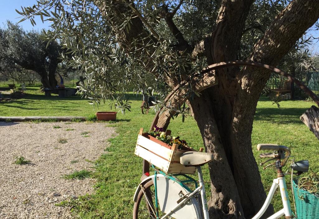 En have udenfor C'era una volta Podere San Giovanni