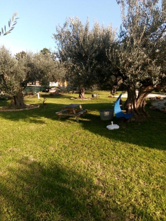 En have udenfor C'era una volta Podere San Giovanni