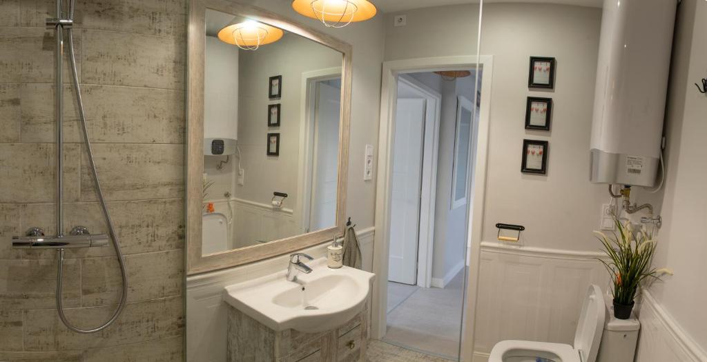 een badkamer met een wastafel, een douche en een toilet bij Farmhouse Apartman in Eger