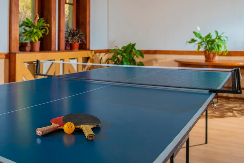 Tenis stołowy w obiekcie Bakony Hotel lub pobliżu