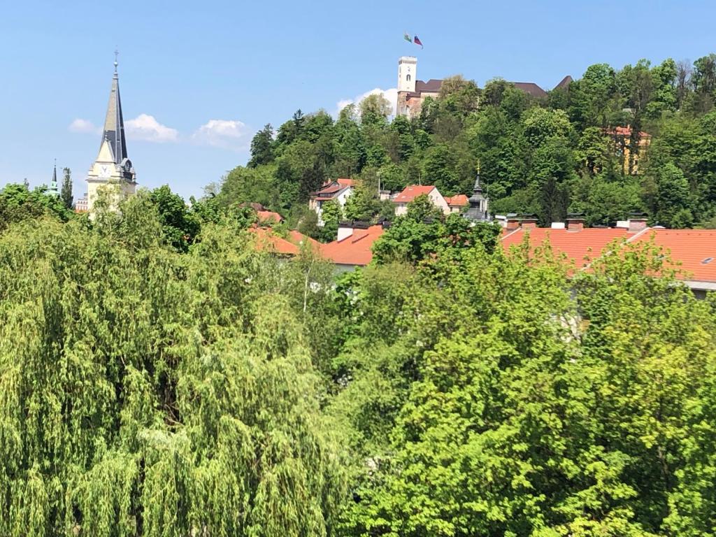 vista su una città alberata e su una chiesa di Castle View Studio a Lubiana