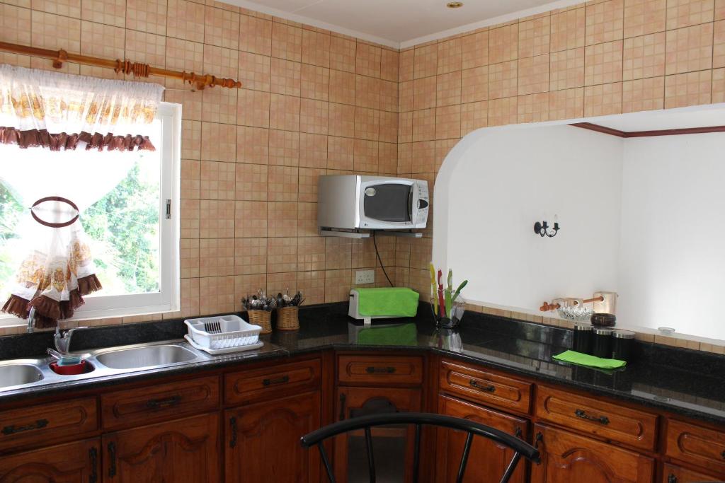 Kuchyň nebo kuchyňský kout v ubytování Haus Megan