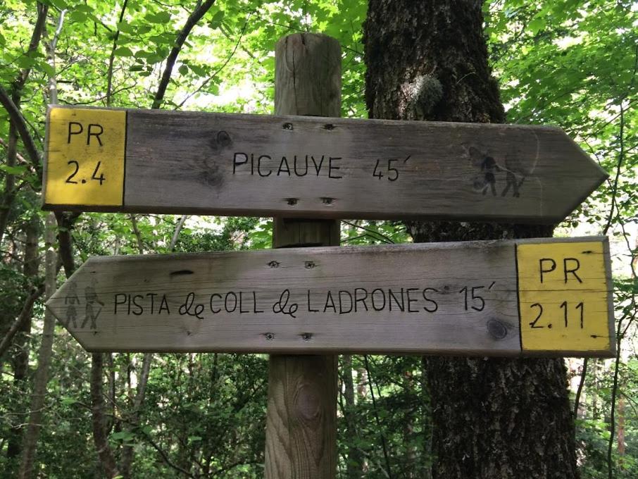 Příroda nedaleko apartmánu