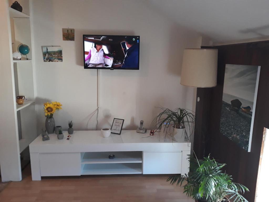 Televízia a/alebo spoločenská miestnosť v ubytovaní Apartman Božica Opatija
