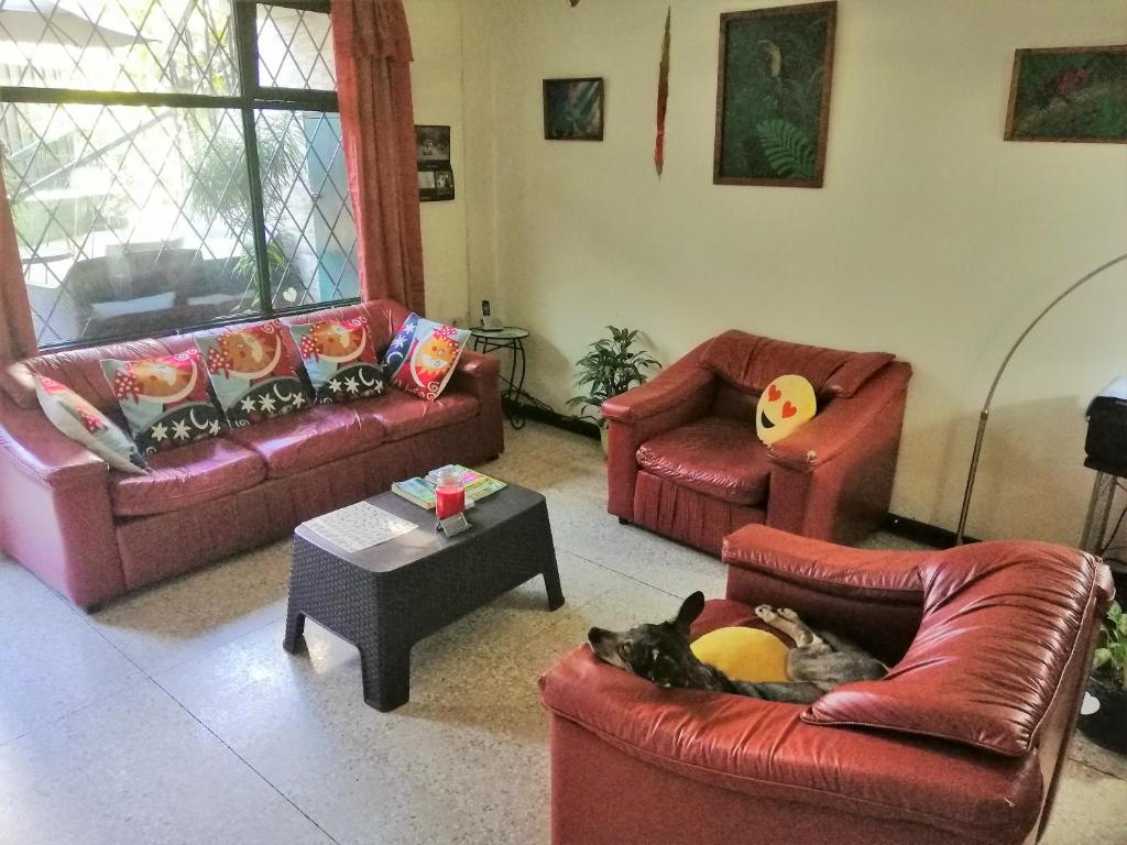 Posezení v ubytování Casa Leon Guesthouse