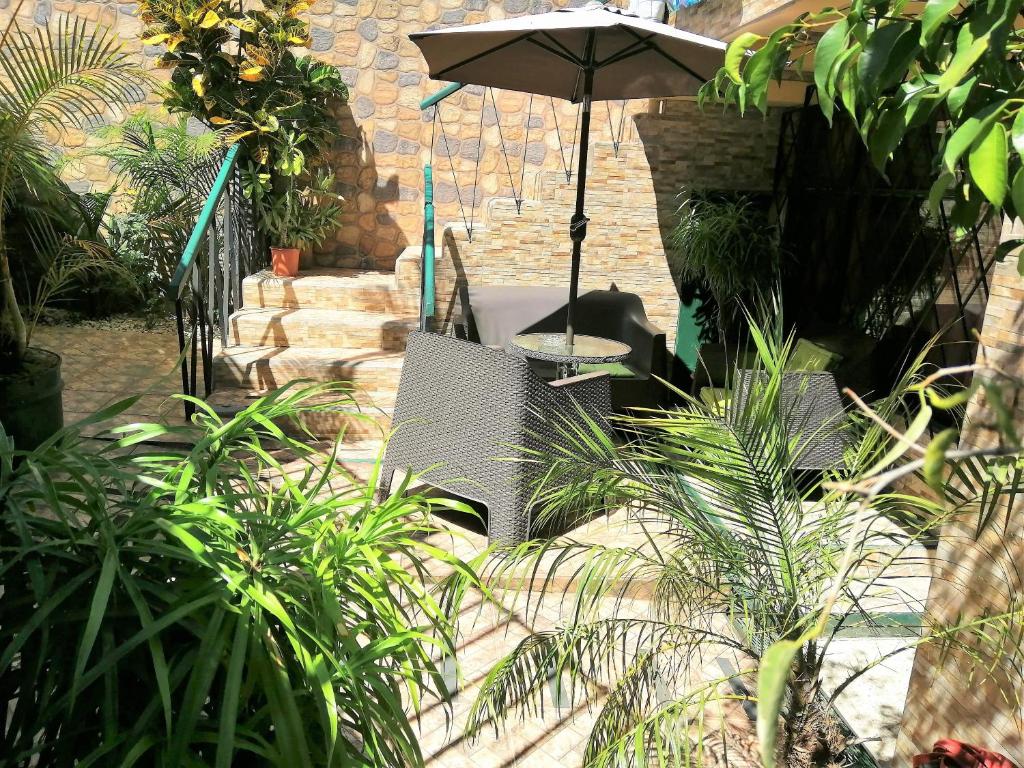 a patio with a table and an umbrella and some plants at Casa Leon Guesthouse in San José
