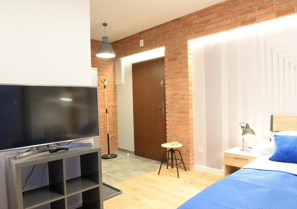 TV a/nebo společenská místnost v ubytování Apartamenty Gaja