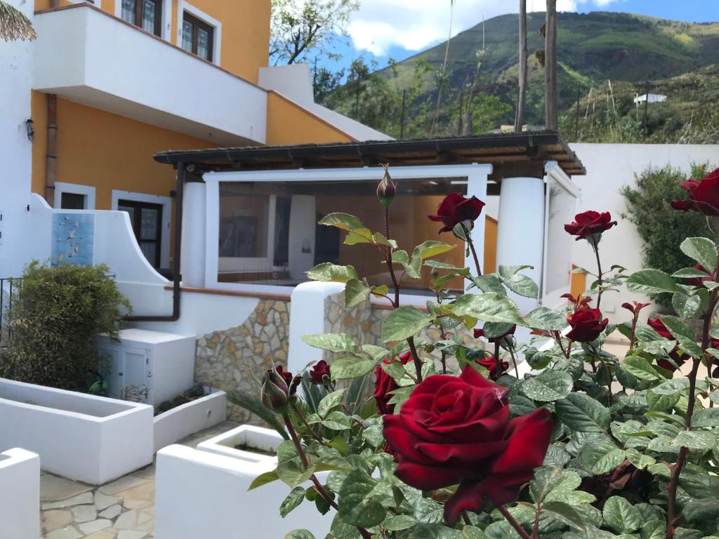 a rose bush in front of a house at B&B La Goletta di Salina in Santa Marina Salina
