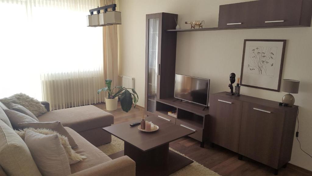 sala de estar con sofá y TV en Gardino Apartamentai, en Šiauliai