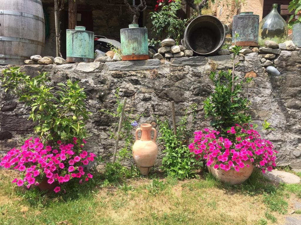 Zahrada ubytování Casa immersa nel vigneto