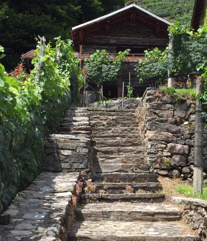 Zahrada ubytování Casa immersa nel vigneto