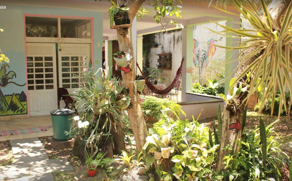  Hostel Itacoatiara Casa das Margaridas