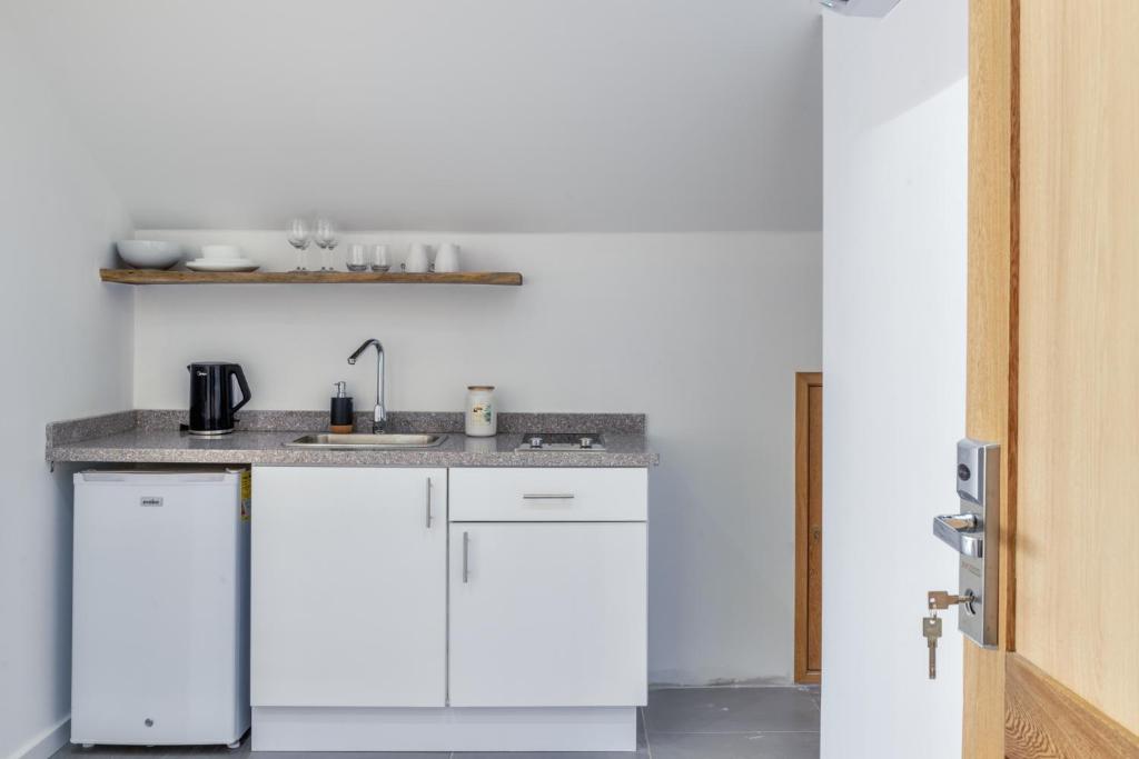 Kuchyň nebo kuchyňský kout v ubytování Art Hotel