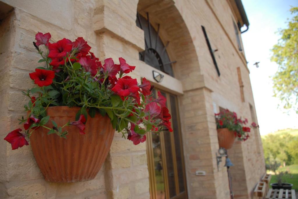 Zahrada ubytování Fattoria Nonno Neno B&B