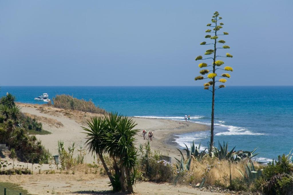 Apt 102 Guadalmansa Playa, Heaven Beach Apartments, Estepona ...