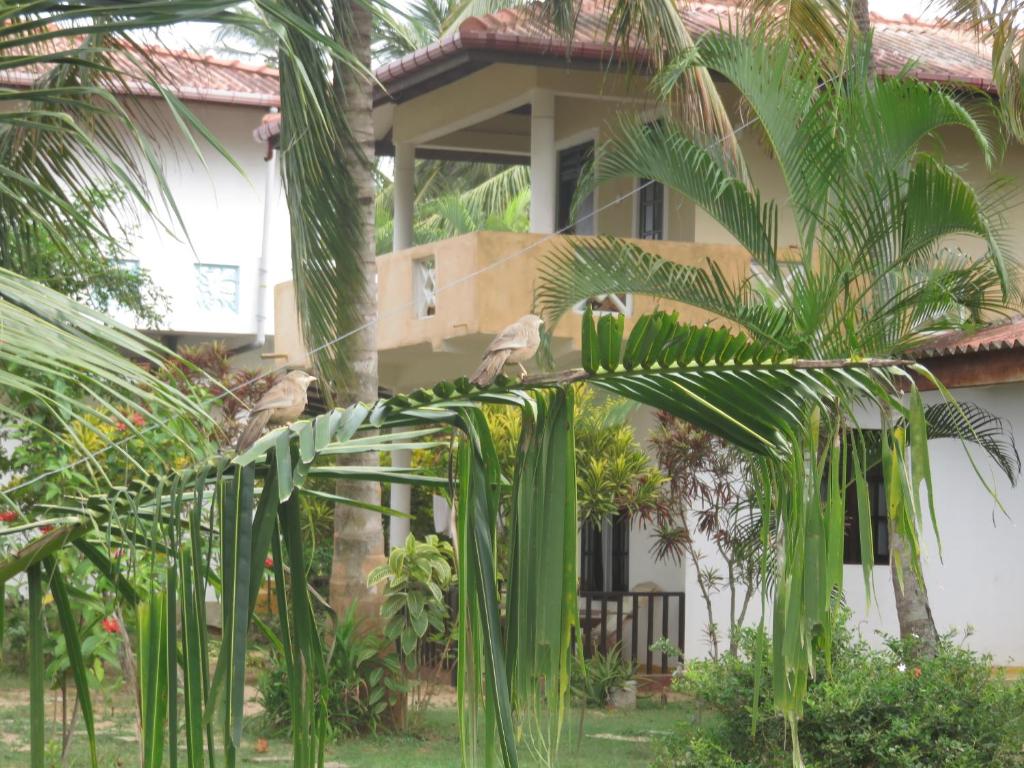 Zahrada ubytování Beach Lagoon Guesthouse
