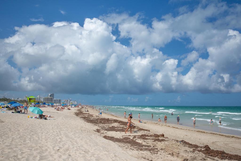 Ocean Drive Apartments - Estudio