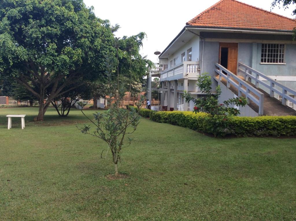 een kleine boom in een tuin naast een gebouw bij Skyway Hotel in Entebbe
