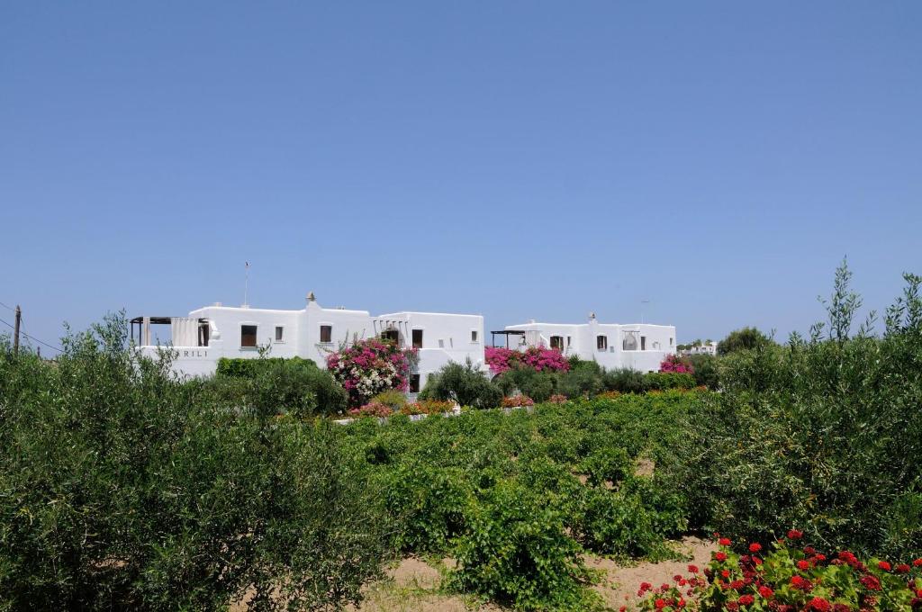 um grupo de casas brancas numa colina com flores em Marili Apartments Studios em Parasporos