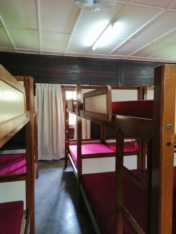 Postel nebo postele na pokoji v ubytování AsiaCamp Taman Negara Resort