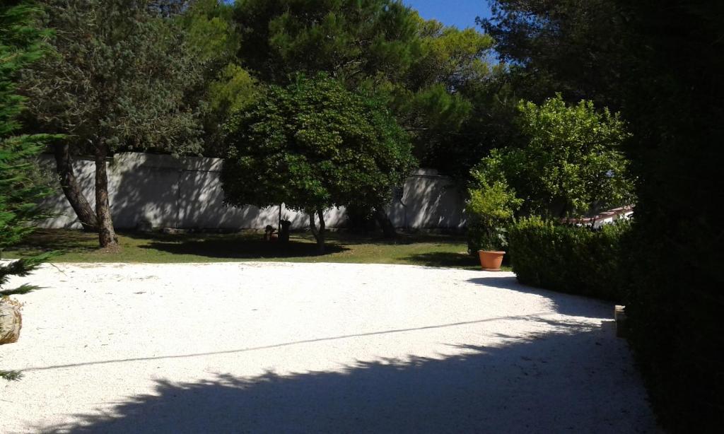 A garden outside Perla del Salento