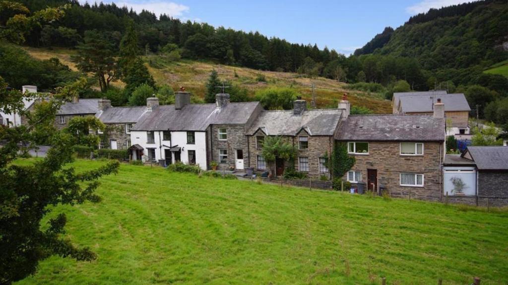 a group of houses on a hill with a green field at Garthfain Cottage in Dolwyddelan