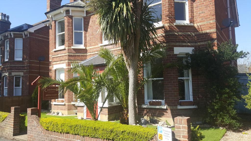 una casa in mattoni con una palma di fronte di Colebrook Guest House a Farnborough