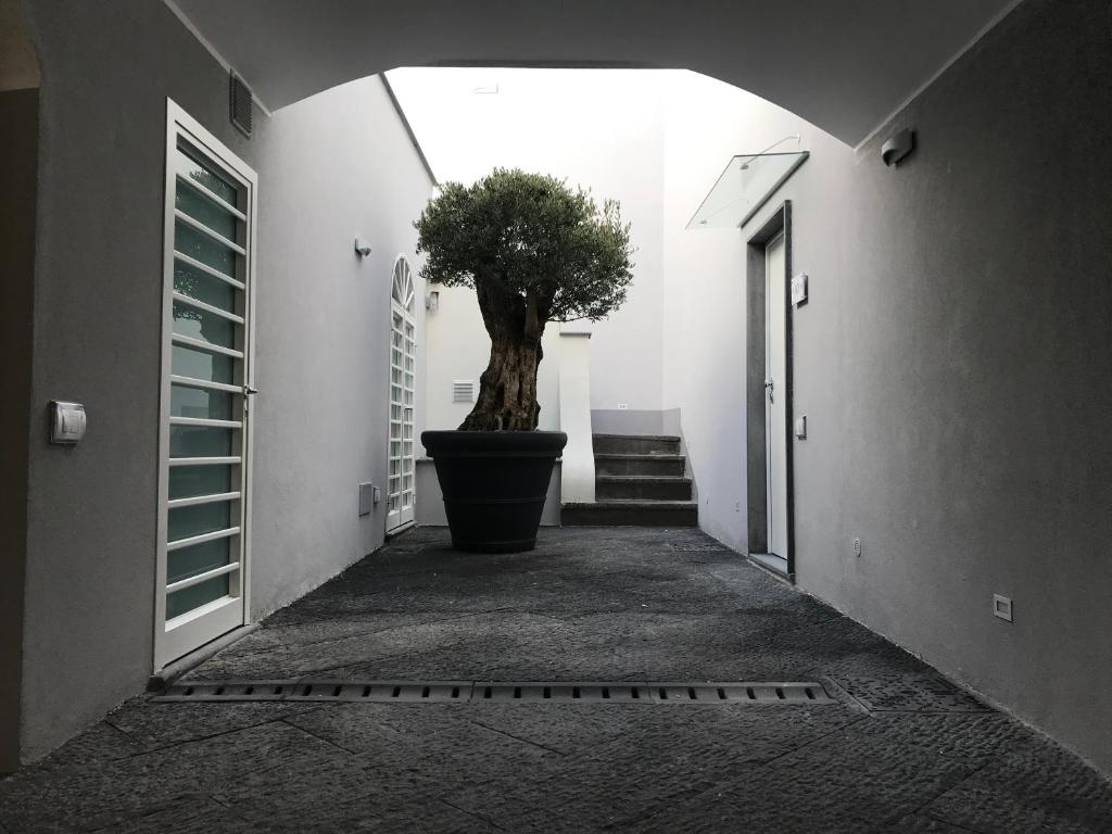 Fotografie z fotogalerie ubytování La Corte di Arianna v destinaci Trecase