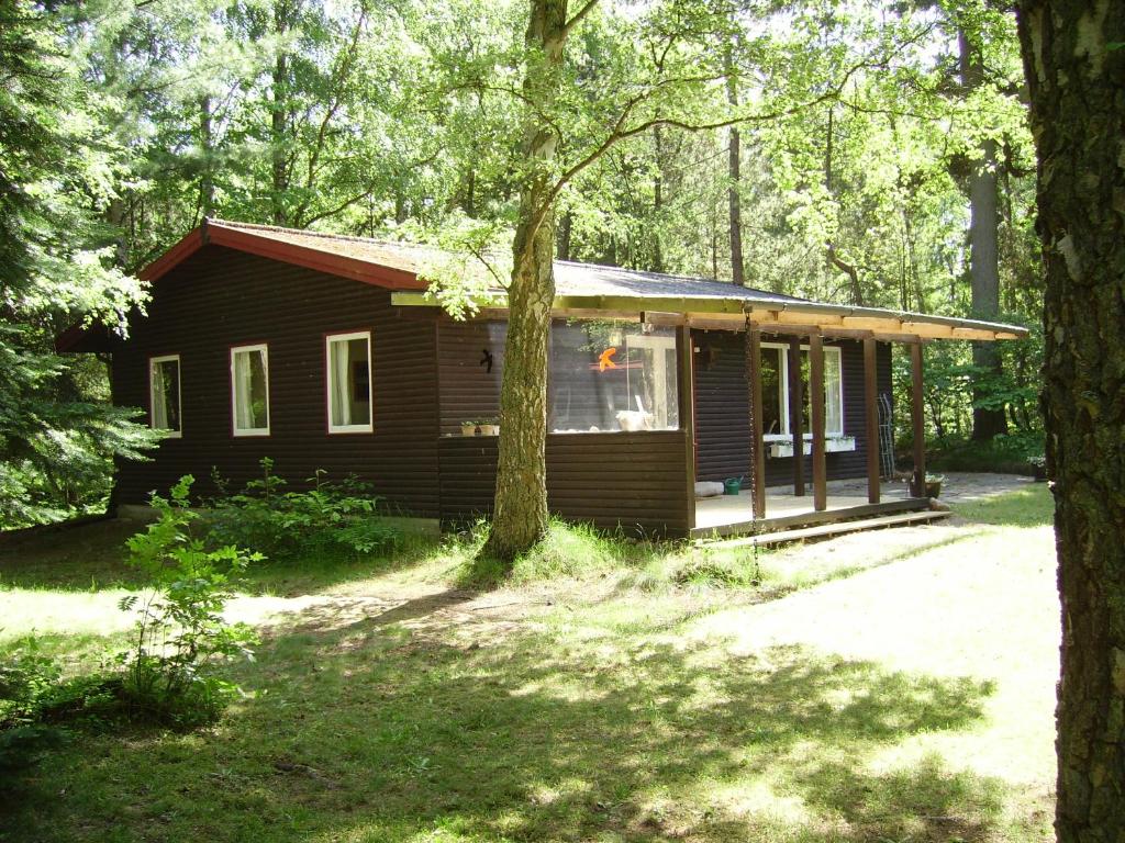 une petite cabane dans les bois avec un arbre dans l'établissement Midtvejshuset, à Rønne