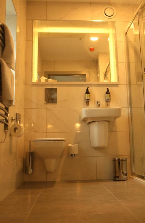 a bathroom with a toilet and a sink and a mirror at Baginbun Lodge in Fethard on Sea