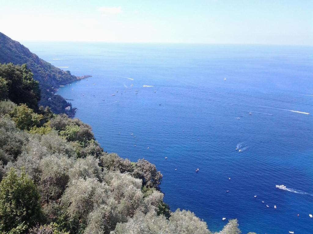 a view of the ocean from a hill at Casa Costanza in Camogli