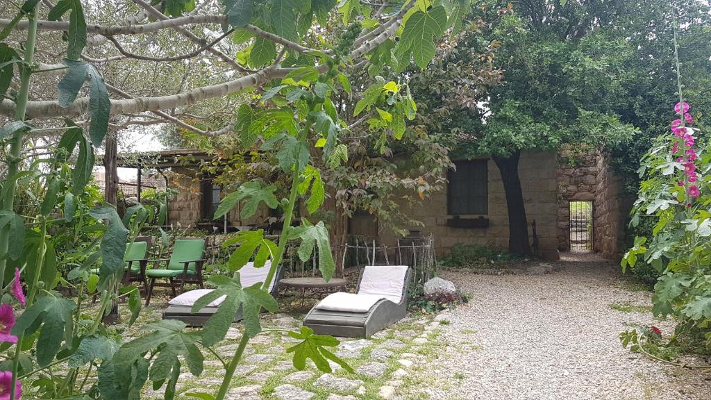 Zahrada ubytování Hemdatya Stone Suites In The Galilee