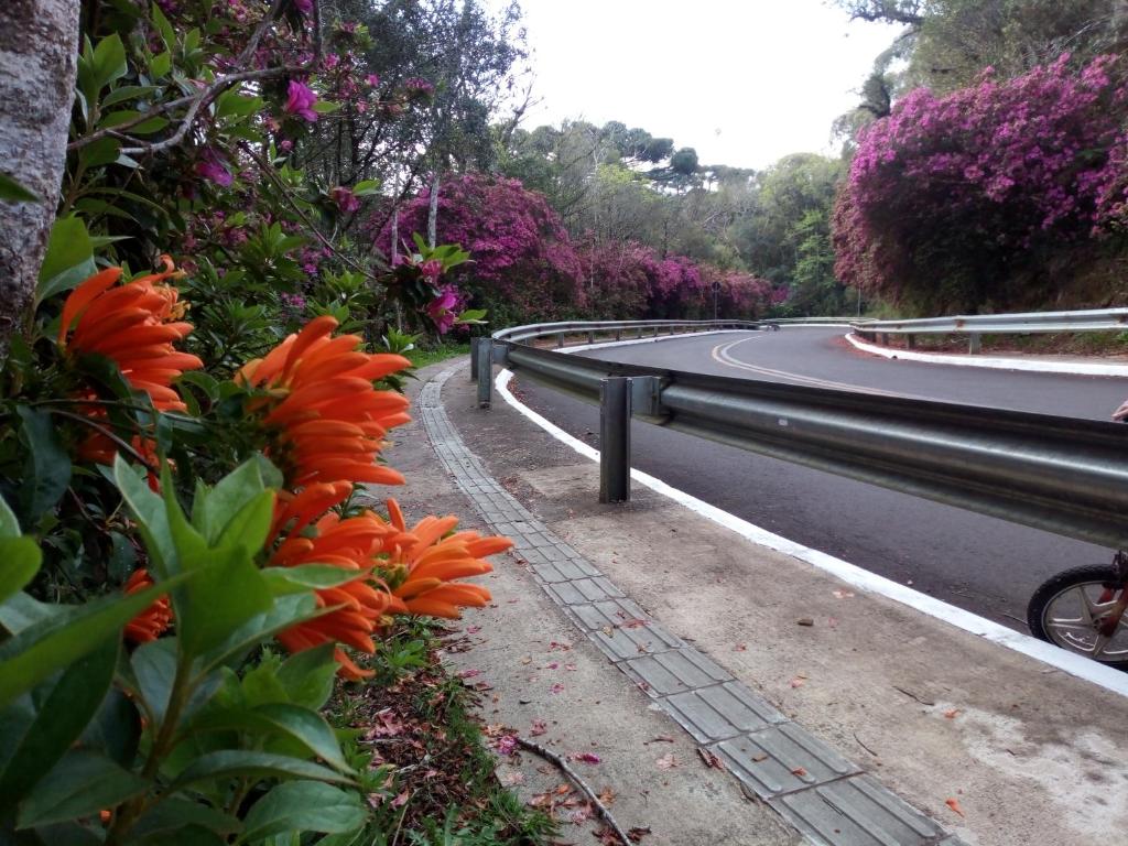 Chalé Martinho  Chalé Martinho