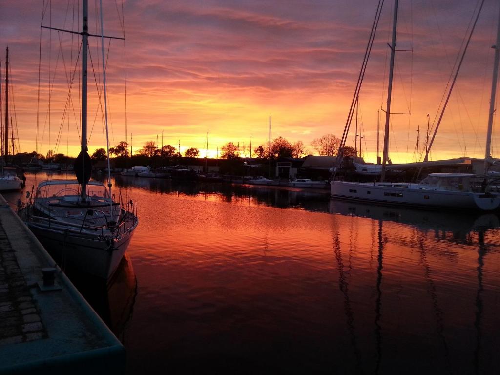 eine Gruppe von Booten, die bei Sonnenuntergang in einem Yachthafen angedockt sind in der Unterkunft Eclipse of the sun in Greifswald