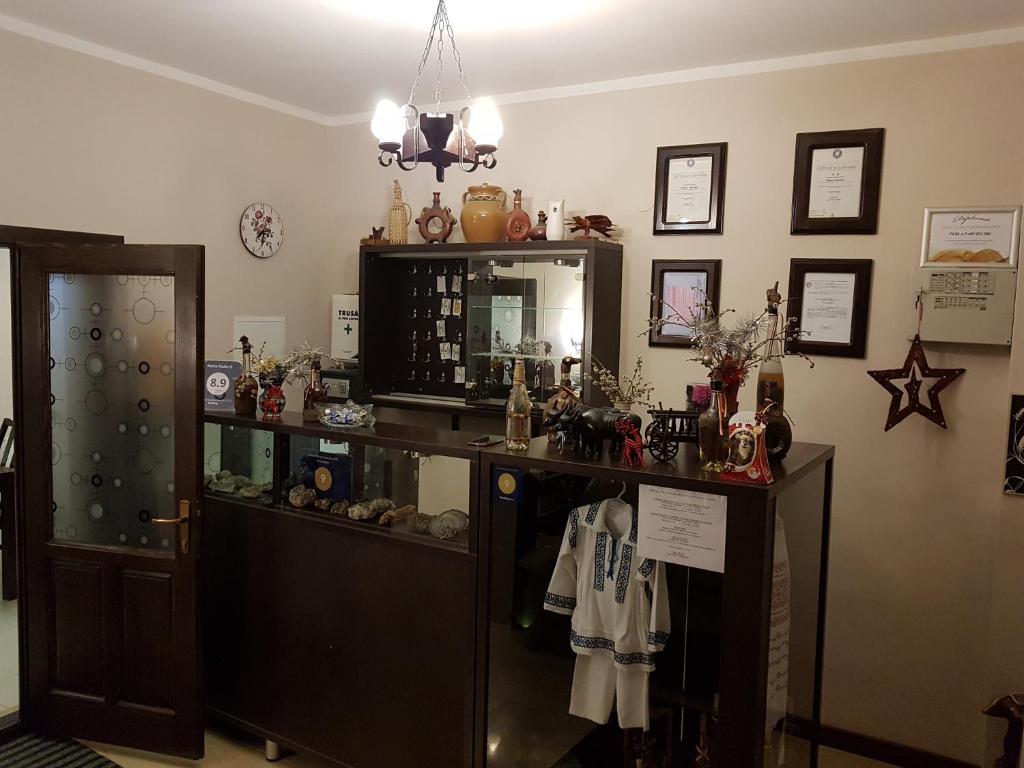 Lounge nebo bar v ubytování Perla Padurii