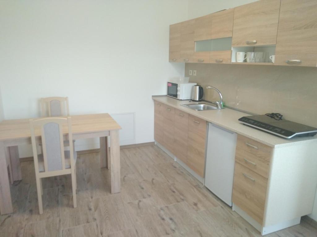Kuchyň nebo kuchyňský kout v ubytování Apartmánové ubytovanie VKF