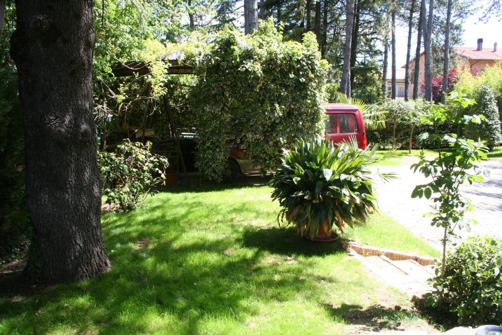 Vonkajšia záhrada v ubytovaní La casa di Rachele
