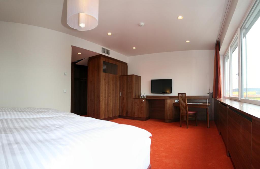 TV a/nebo společenská místnost v ubytování Business Hotel Ambio Gleisdorf