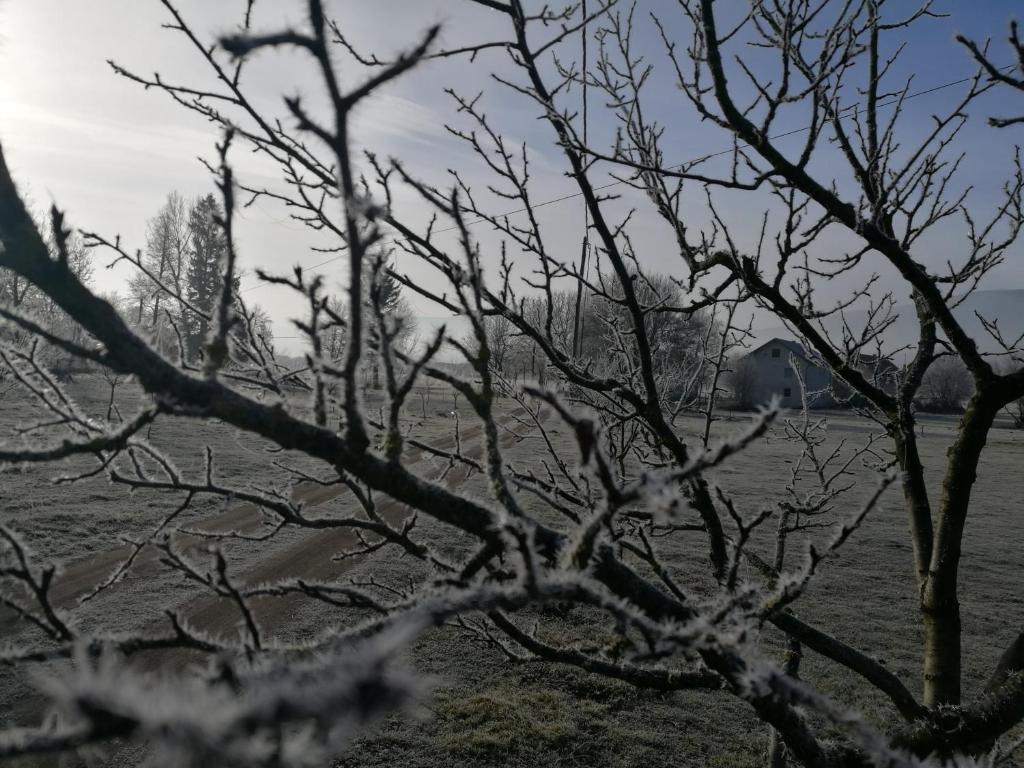 Príroda v okolí penziónu