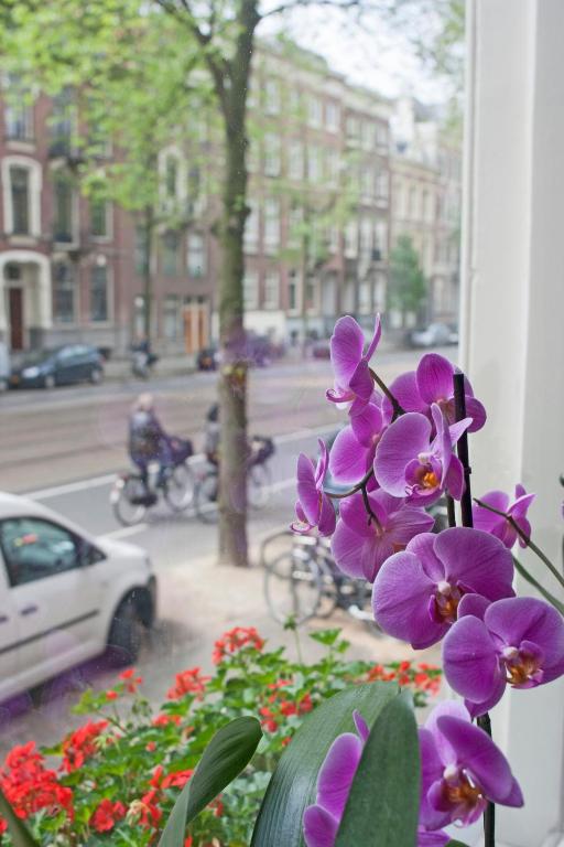 Hotel Allure - Resim 14