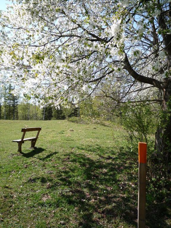 Zahrada ubytování Valle vandrarhem och camping