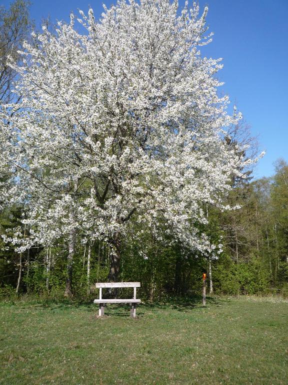 Zahrada ubytování Valle vandrarhem och camping