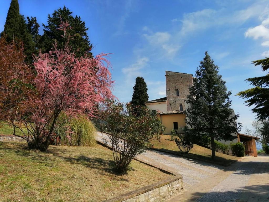 an estate with a church and trees on a road at Casa per Ferie Ulivo d'Assisi in Assisi